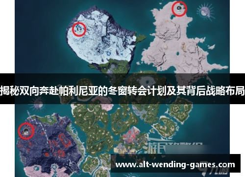 揭秘双向奔赴帕利尼亚的冬窗转会计划及其背后战略布局