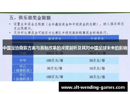 中国足协降薪方案与赛制改革的深度剖析及其对中国足球未来的影响