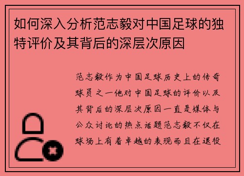 如何深入分析范志毅对中国足球的独特评价及其背后的深层次原因