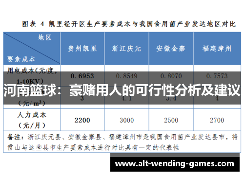 河南篮球：豪赌用人的可行性分析及建议
