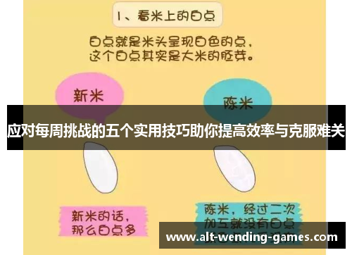 应对每周挑战的五个实用技巧助你提高效率与克服难关