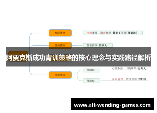 阿贾克斯成功青训策略的核心理念与实践路径解析