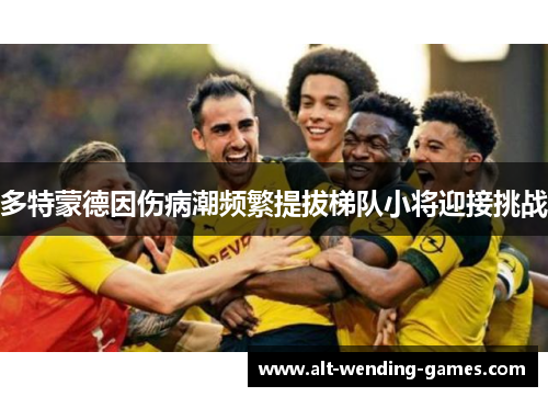 多特蒙德因伤病潮频繁提拔梯队小将迎接挑战 多特蒙德因伤病潮频繁提拔梯队小将迎接挑战